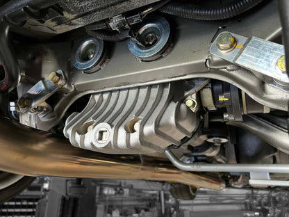 Photo - Close Up