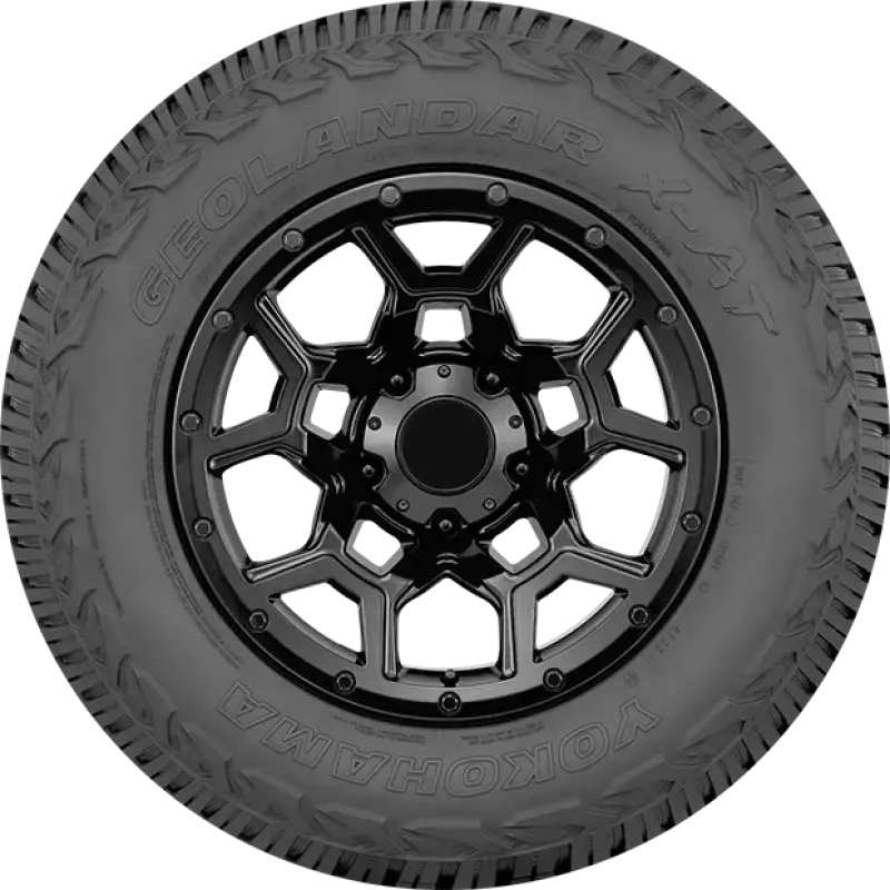 Photo - Close Up